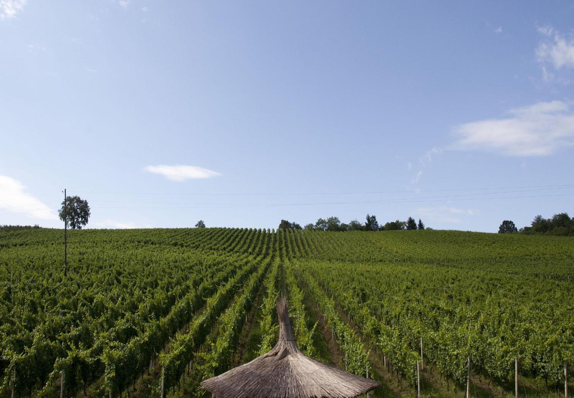 Stupnicki Dvori Winery Hotel Stupnik Brodski Eksteriør bilde