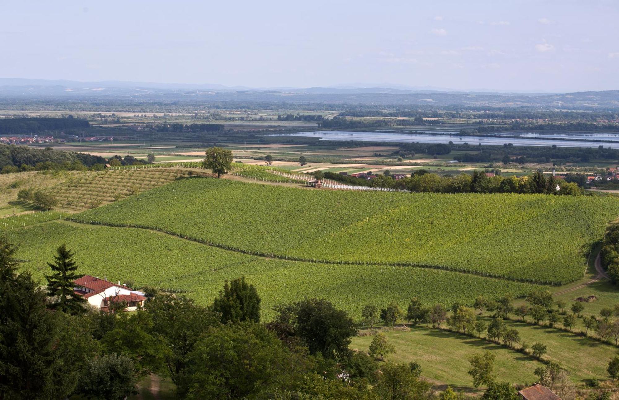Stupnicki Dvori Winery Hotel Stupnik Brodski Eksteriør bilde