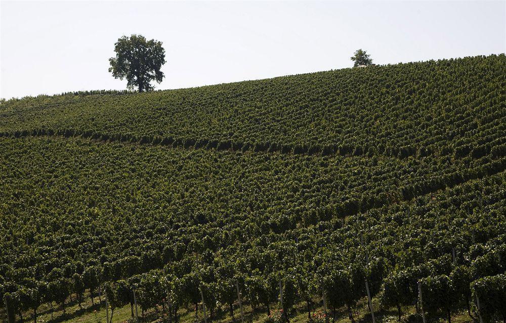 Stupnicki Dvori Winery Hotel Stupnik Brodski Eksteriør bilde