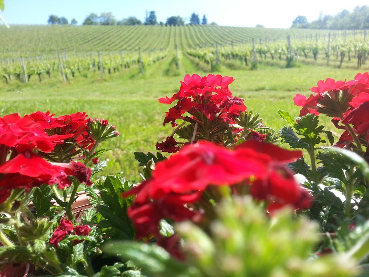 Stupnicki Dvori Winery Hotel Stupnik Brodski Eksteriør bilde