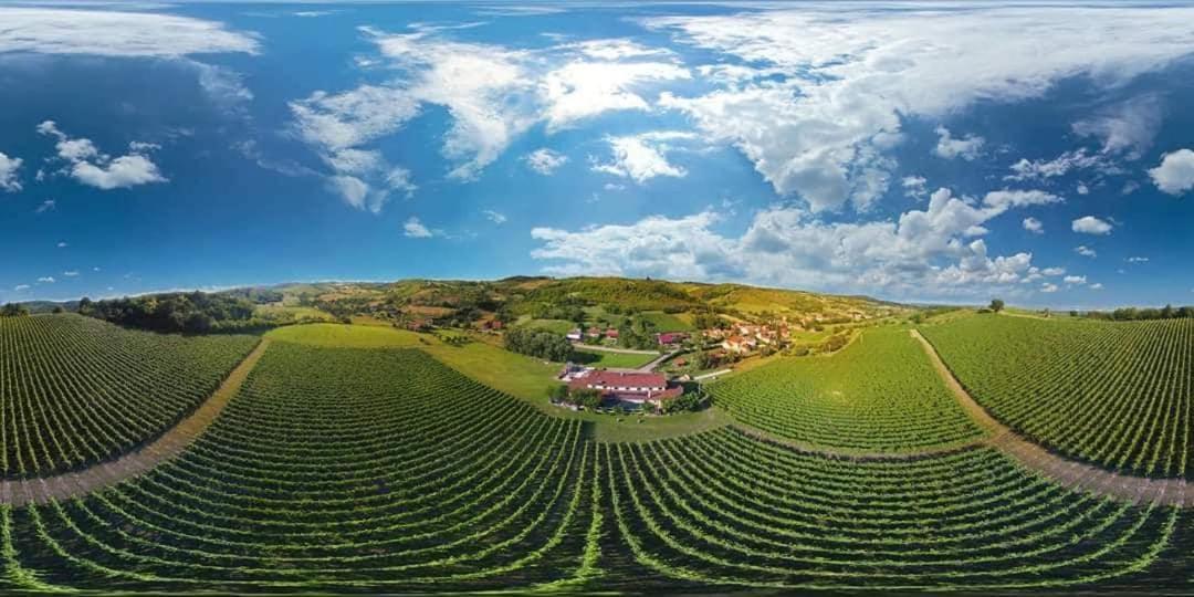 Stupnicki Dvori Winery Hotel Stupnik Brodski Eksteriør bilde